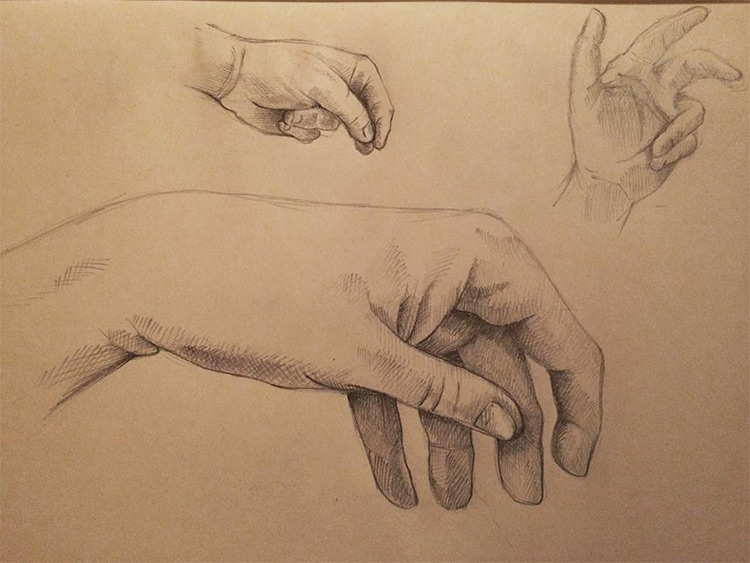 Brown toned paper hand drawings