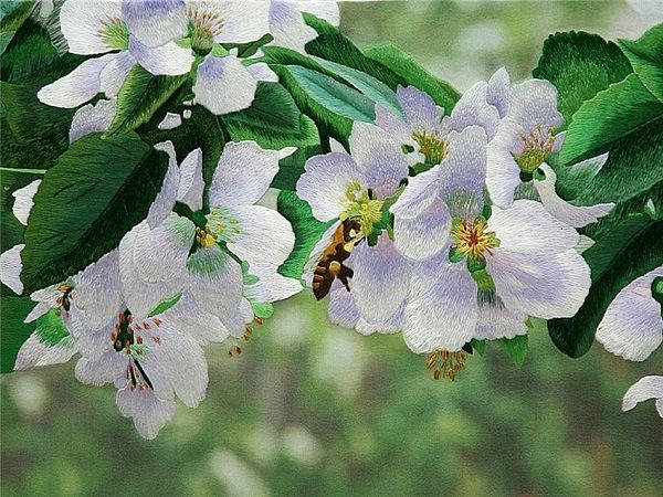Очаровательная вышивка гладью виды швов и основные моменты, фото № 25