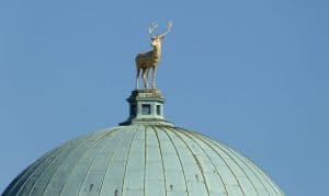 Copper roofing