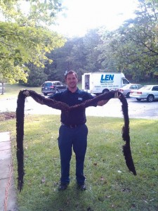 Len the Plumber technician holding up very long and large string of debris that was clogging up a DMV Metro home