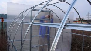Покрытие металлической теплицы листами поликарбоната Фото: Покрытие металлической теплицы листами поликарбоната